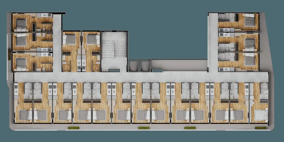 Alta Wave: planta