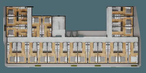 Alta Wave: planta