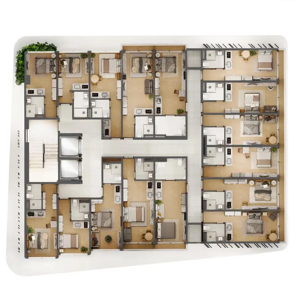Blanc by Neo: planta