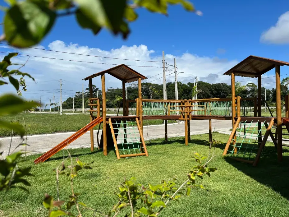 Bosque do Sol: imagem 6