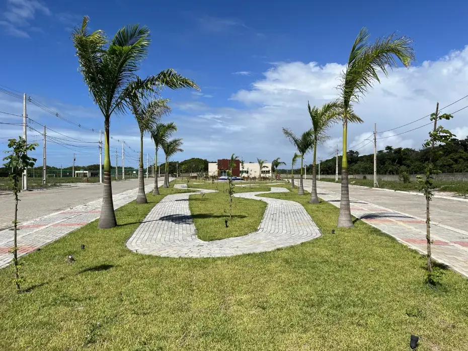Bosque do Sol: imagem 8