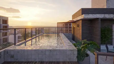 Corais da Tailândia: imagem 2
