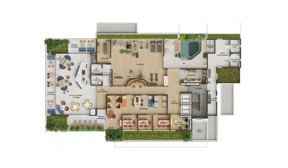 Eco Pulse: imagem 5