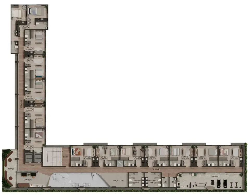 Yafah Di Citta: planta
